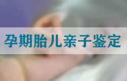 长沙私密亲子鉴定流程