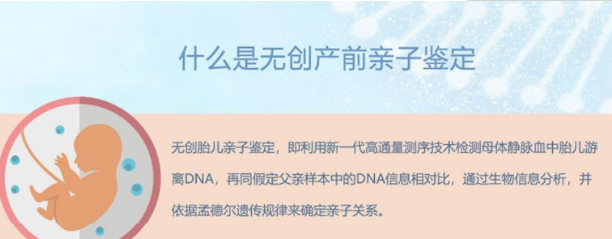 长沙孕期如何办理DNA鉴定,长沙怀孕DNA亲子鉴定需要的条件和材料有哪些